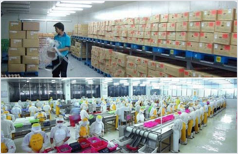 加工出入庫，冷庫管理軟件