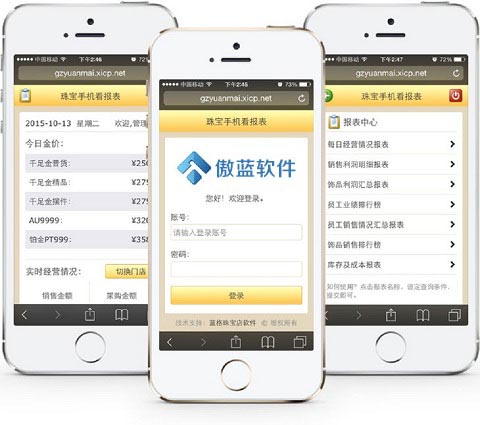 傲藍(lán)珠寶管理軟件